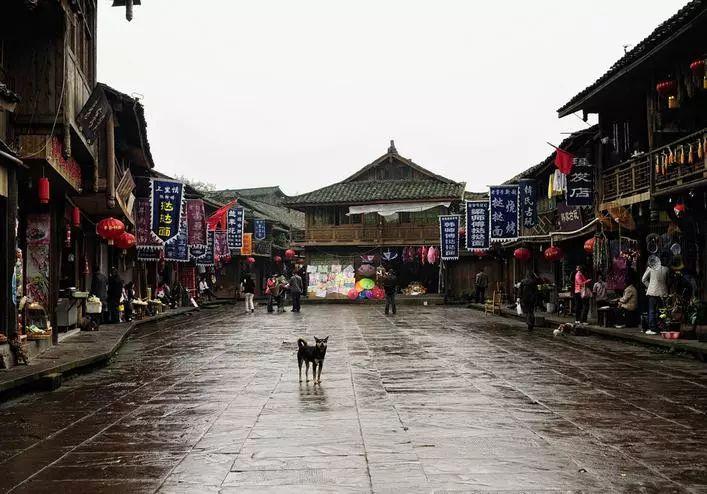 光与夜之恋光结局和夜结局游戏画面